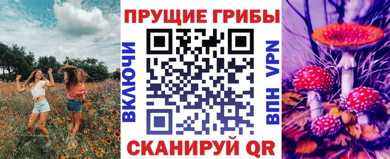 Купить  Вязники  Псилоцибиновые грибы Cubensis 
